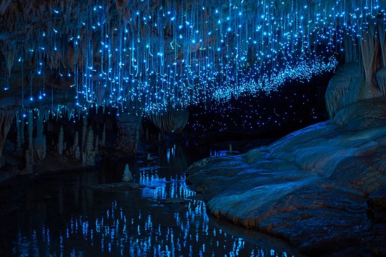 Caves de Waitomo