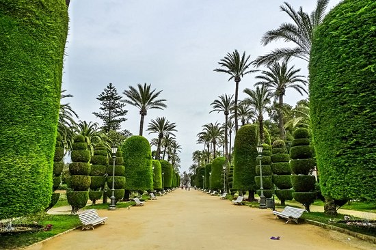 Le parc Genoves