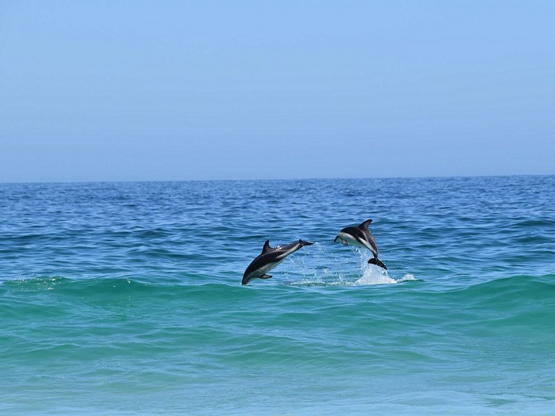 Camps Bay