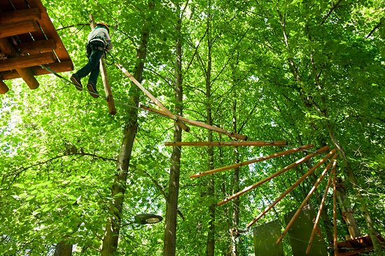Treetop Adventure Park