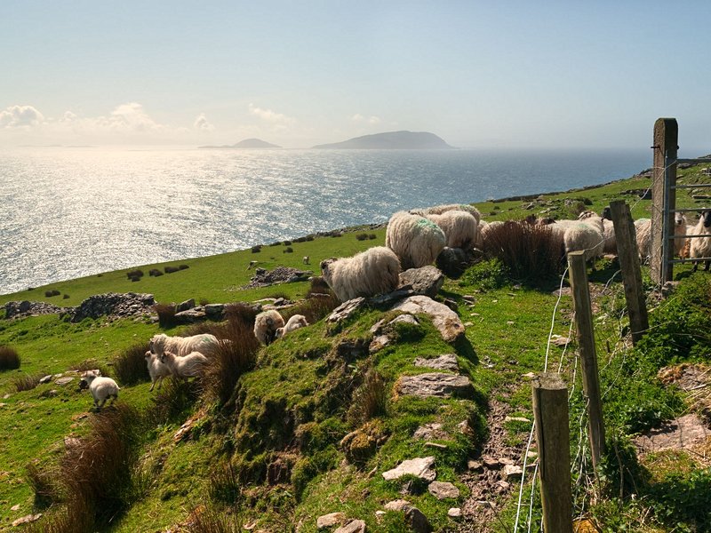 Anneau du Kerry