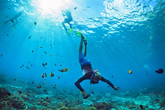 Les meilleurs spots de plongée de Phuket
