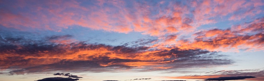Au plus près du Vaccarès
