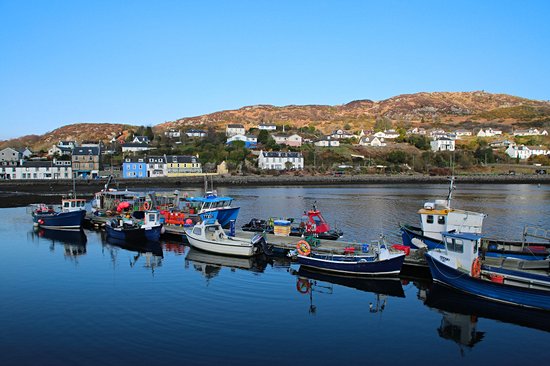 Tarbert