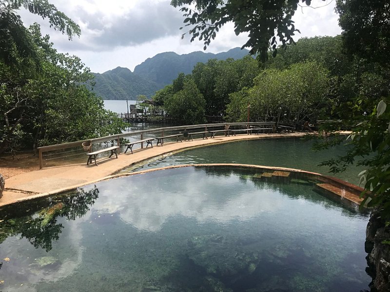 Se prélasser aux Maquinit Hot Springs