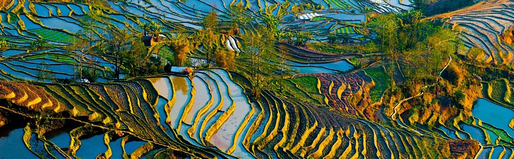 Rizières de Yuanyang