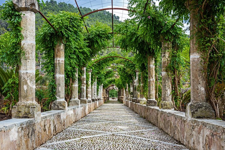 Les jardins d’Alfabia 4