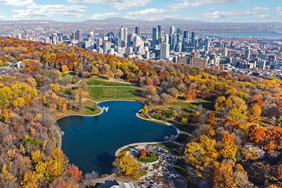 Le parc du Mont-Royal