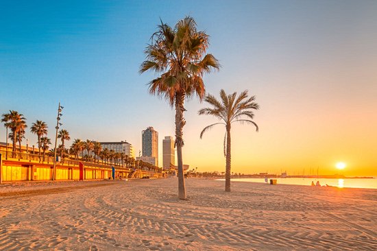 Plage de la Barceloneta
