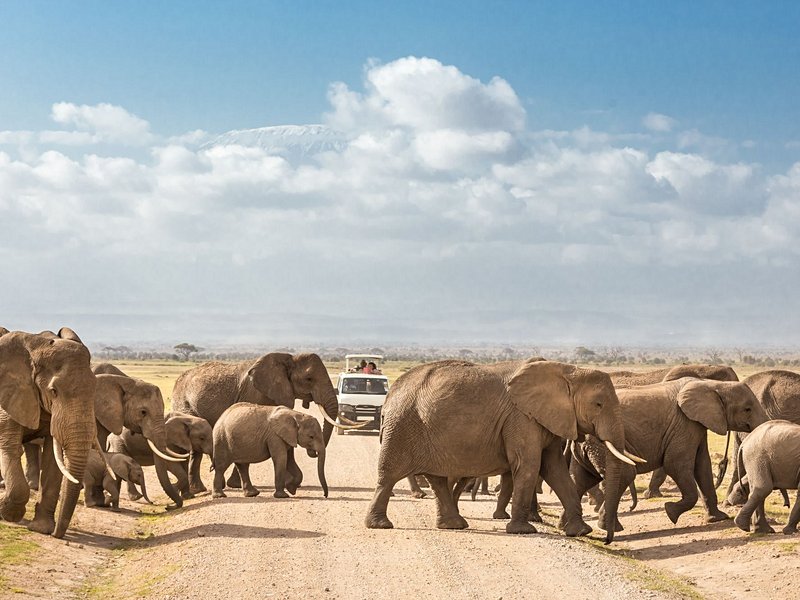 Amboseli