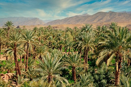 La vallée du Drâa