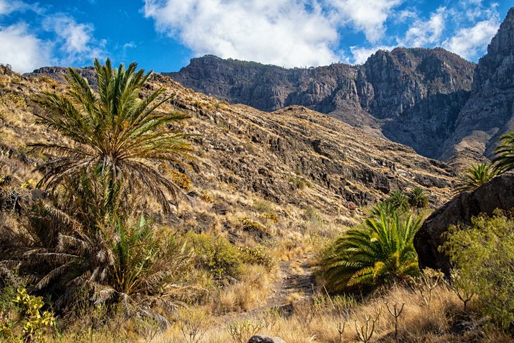 Le Barranco de Guayadeque 2