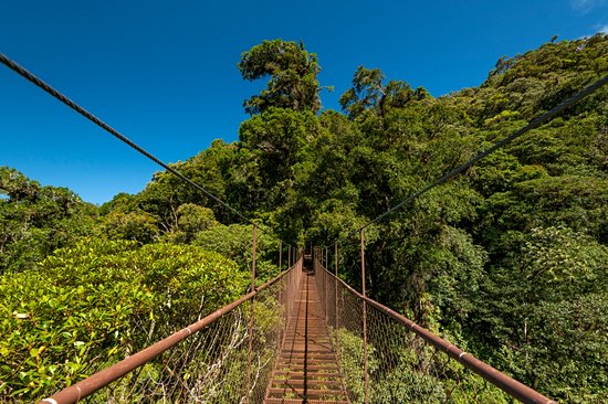 Parc national du Volcan Baru