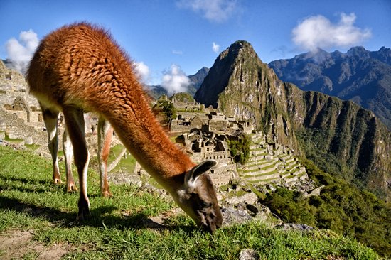 Cuzco