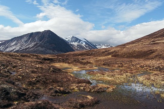 Cairngorms