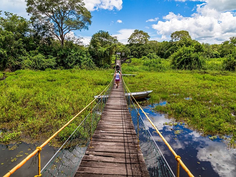 Parc national du Pantanal
