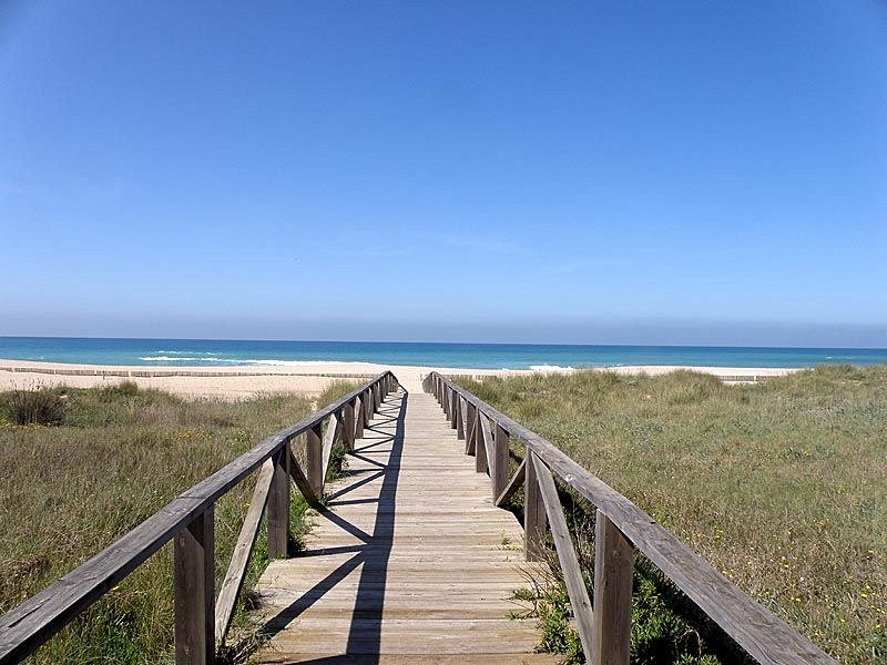 plage Playa El Palmar, Vejer de la Frontera