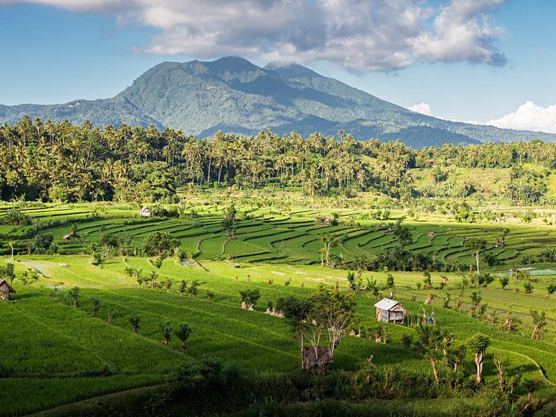 Tirta Gangga (Bali)