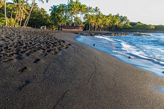 Punalu'u beach