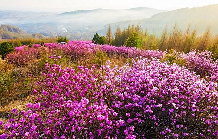 Chaîne de montagnes du Petit Khingan