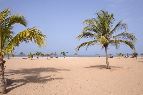 Saly