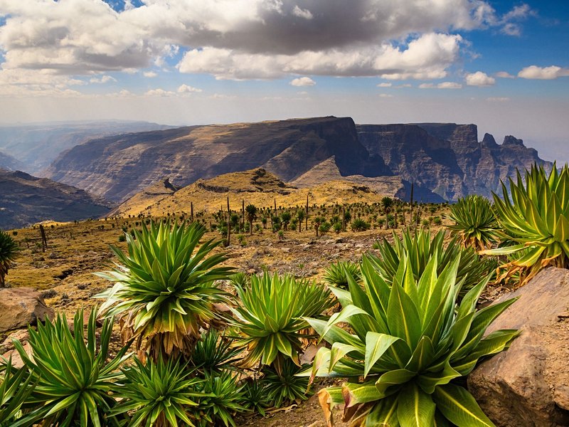 Parc national du Simien