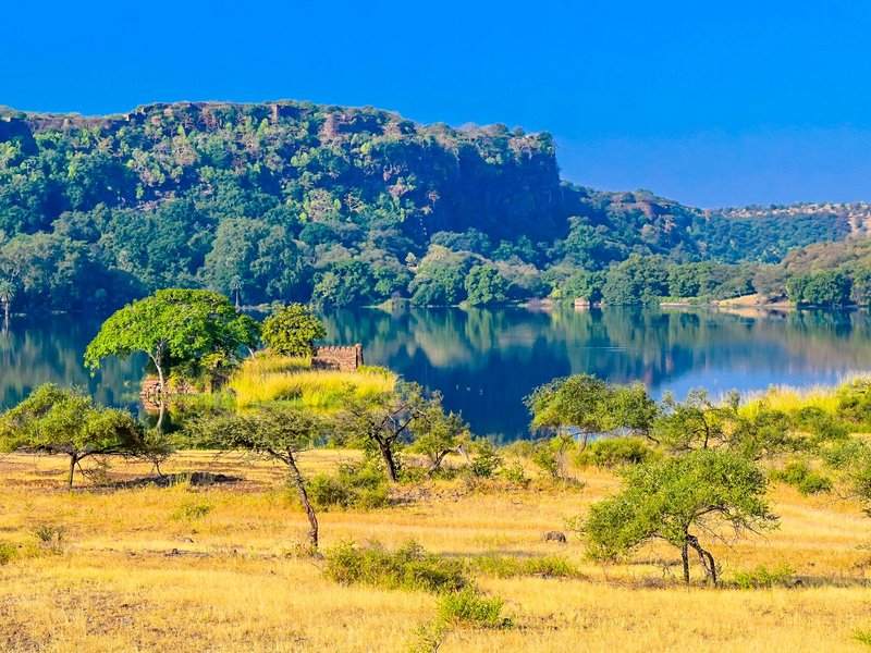 Parc national Jim Corbett