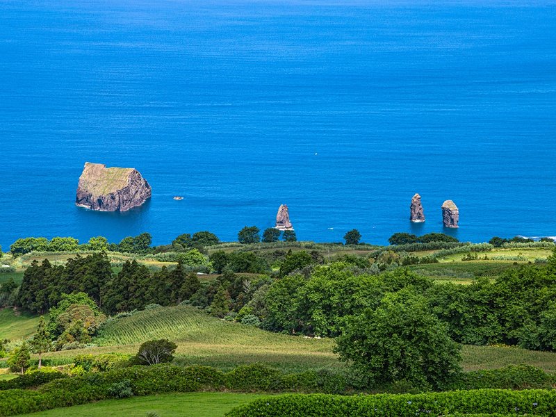 Mosteiros