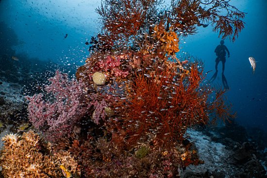 Raja Ampat, Papouasie Occidentale