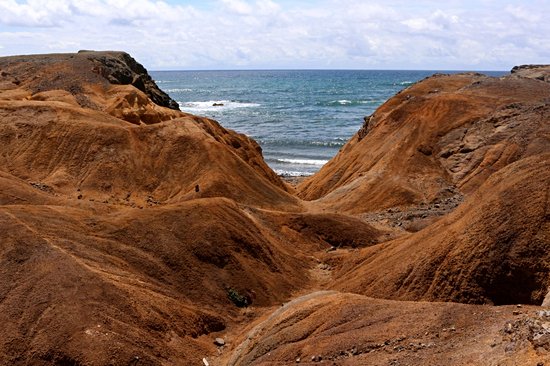 La Savane des Pétrifications