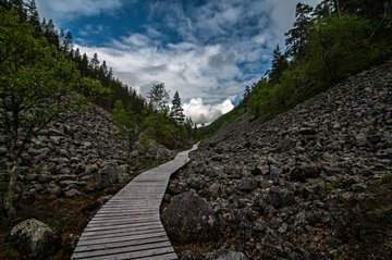 Parc national de Pyhä-Luosto