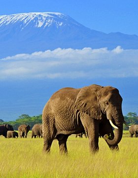 Les plus beaux lieux de Amboseli