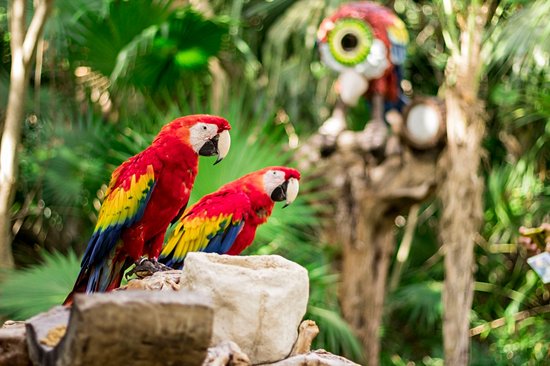 Xcaret