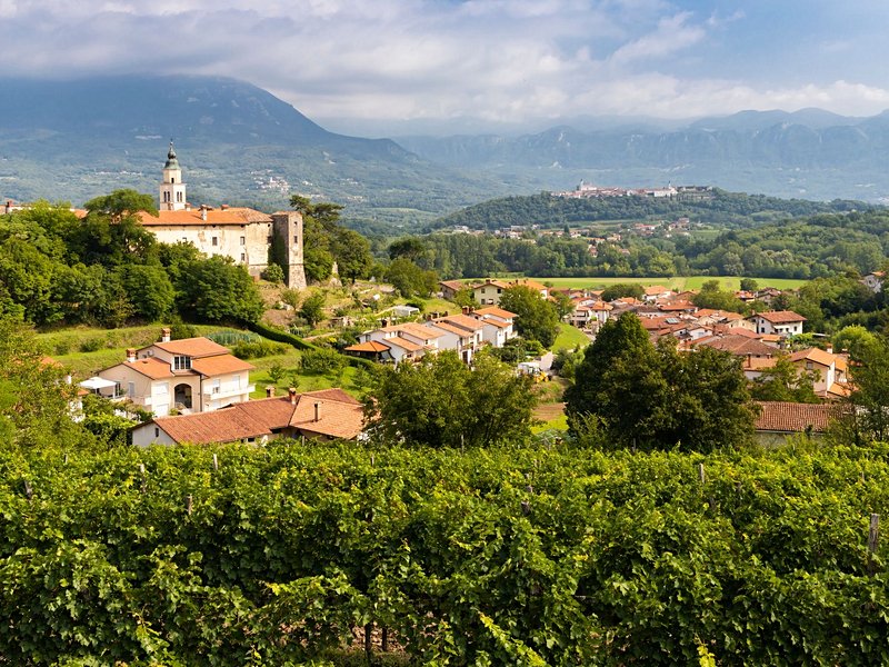 Région viticole de la Vipava
