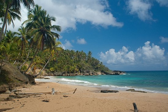 Playa Grande, Rio San Juan
