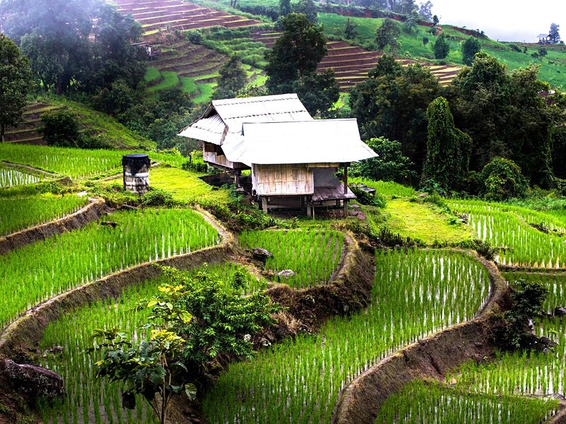 Chiang Rai