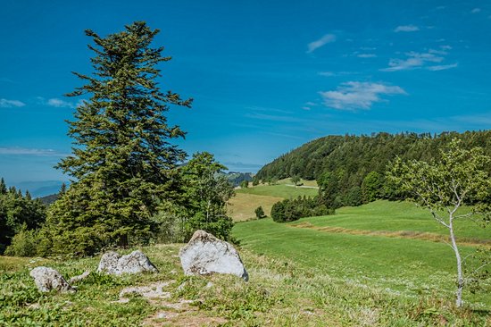 Le Weissenstein