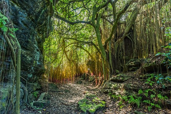 Parc national de Shoushan