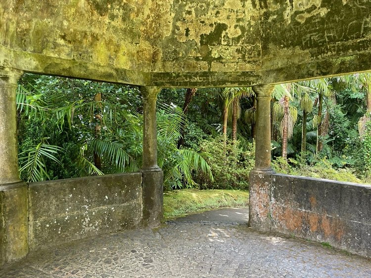 Furnas : Terra Nostra, le jardin botanique 3