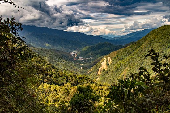Parc national Podocarpus