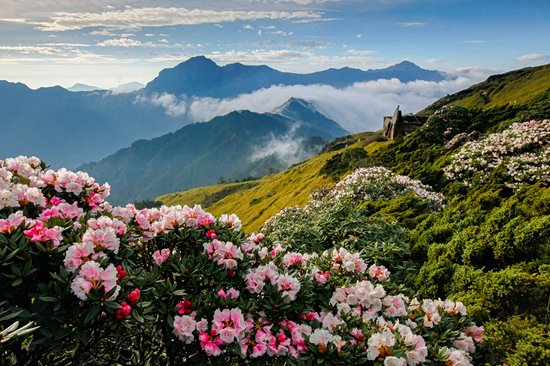Yushan National Park