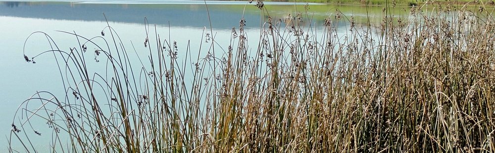 La Brévine ou la Sibérie suisse