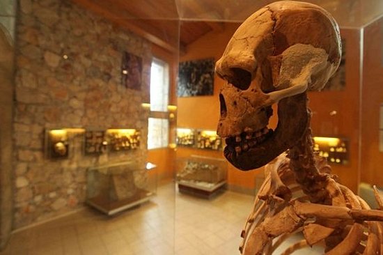 Découvrir la Préhistoire à Tautavel