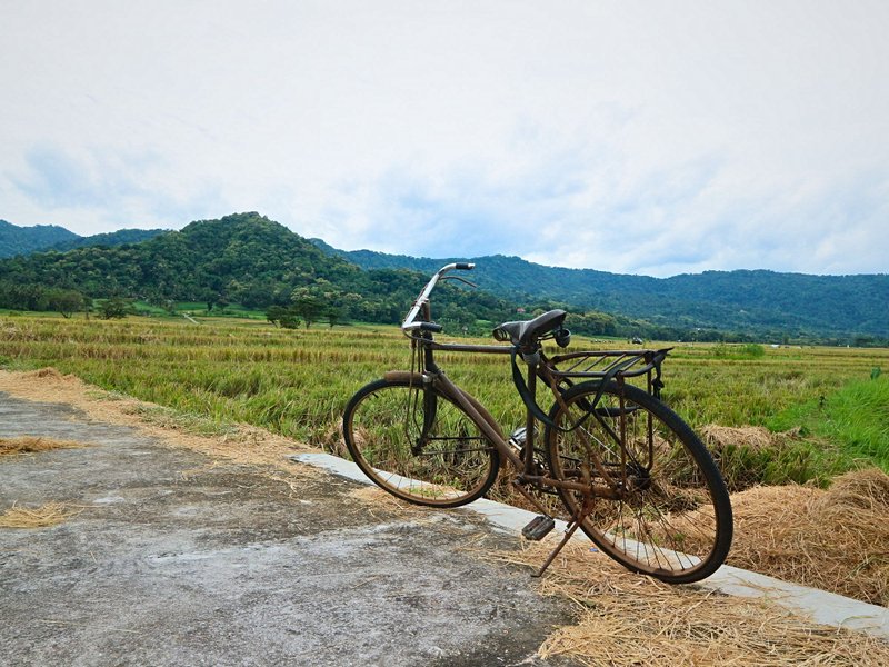 Autour de Yogyakarta (Java)