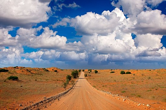 Parc transfrontalier de Kgalagadi