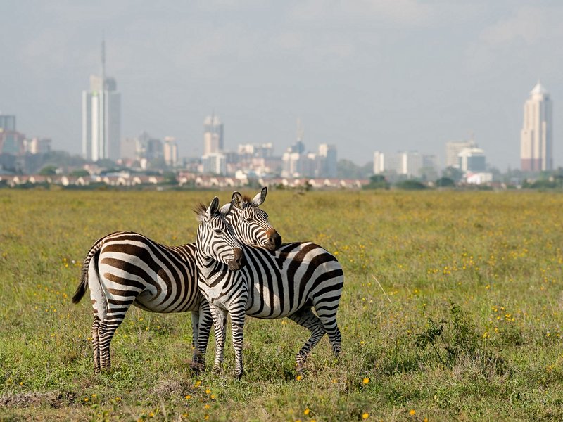Nairobi