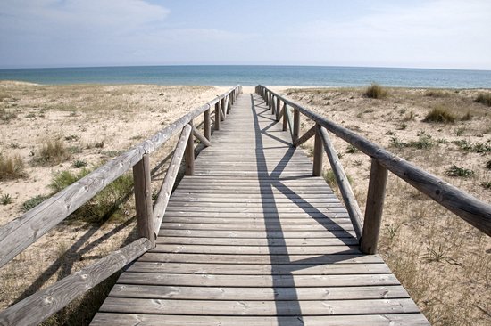 Playa El Palmar