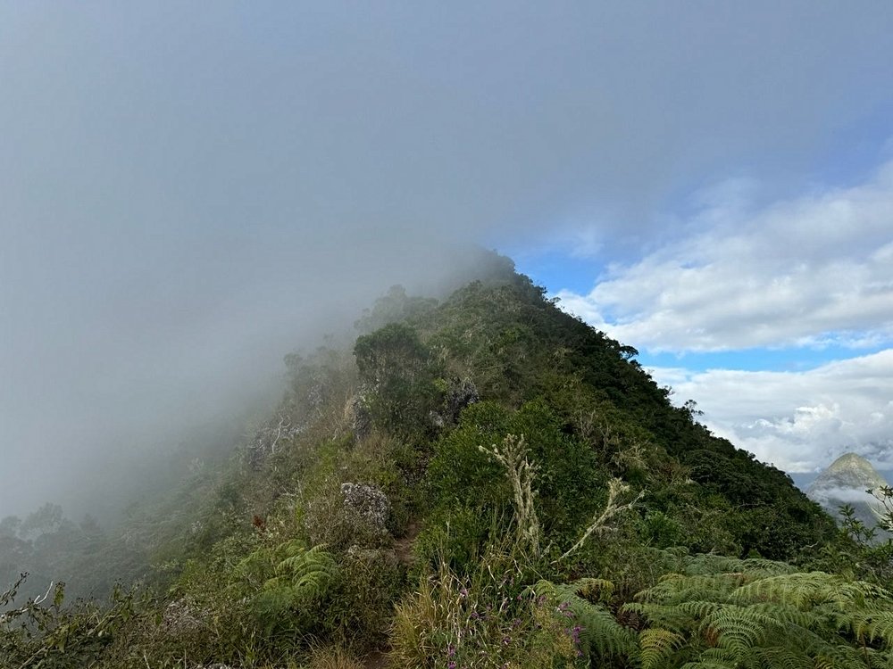 Réunion au mois de  juin