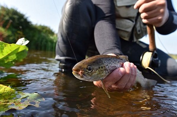 Pêcher la truite sur les plus beaux lacs d’Irlande