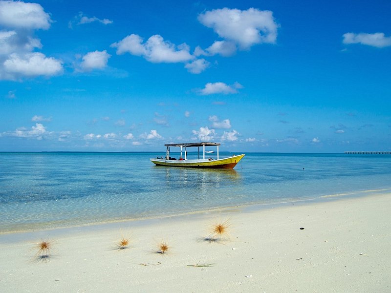 Wakatobi